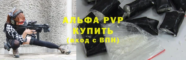 гидра Няндома
