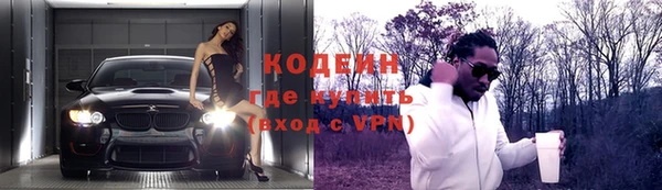 гидра Няндома