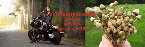 гидра Няндома