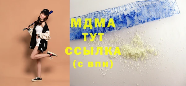 гидра Няндома