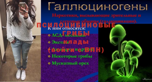 стафф Орск