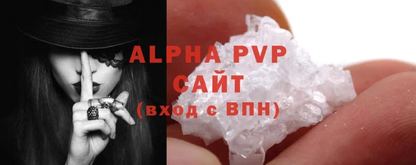 гидра Няндома