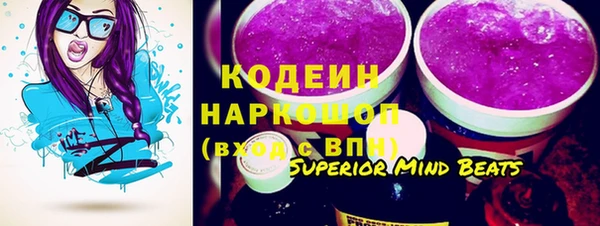 гидра Няндома