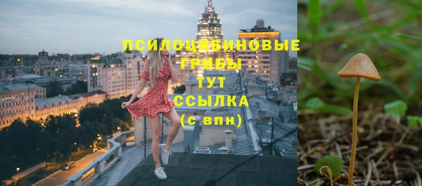 гидра Няндома