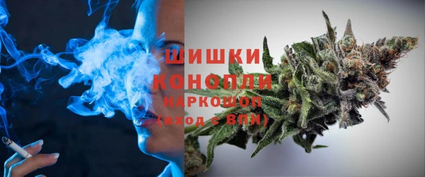 гидра Няндома